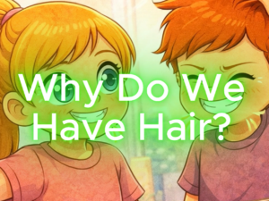 Why Do We Have Hair