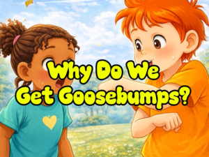 Why Do We Get Goosebumps