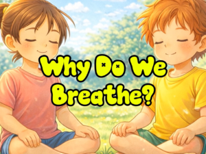 Why Do We Breathe