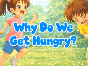 Why Do We Get Hungry