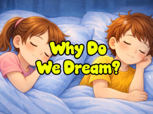 Why Do We Dream