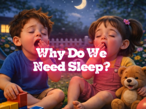 Why Do We Need Sleep